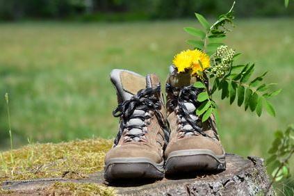 Wandern