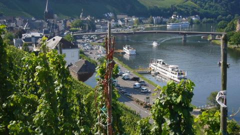 Bernkastel-Kues